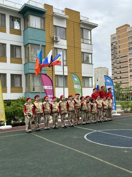 img (5)